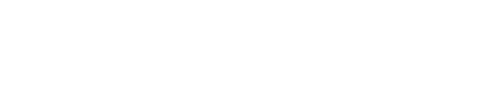 corona y flores 9