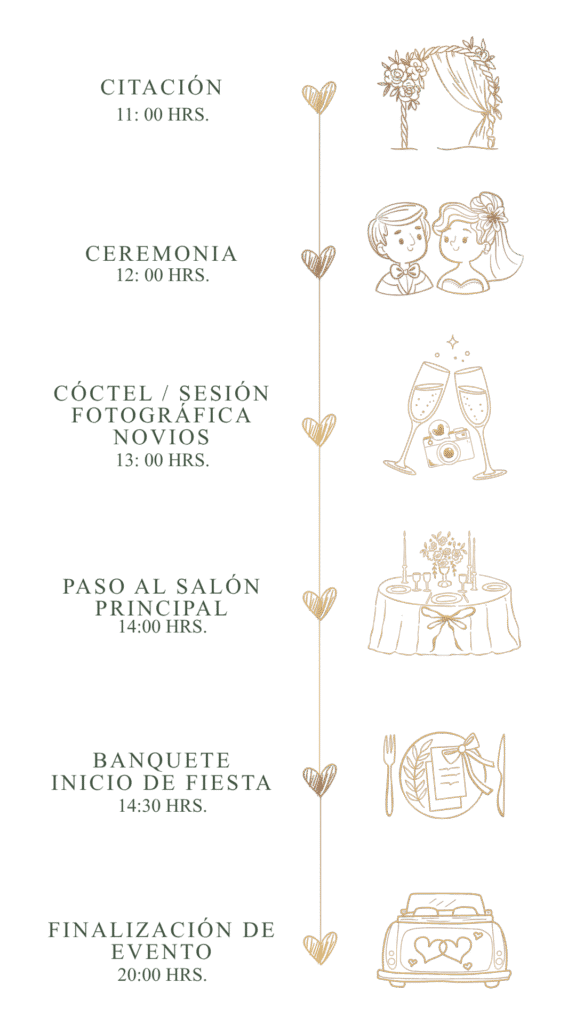 cronograma