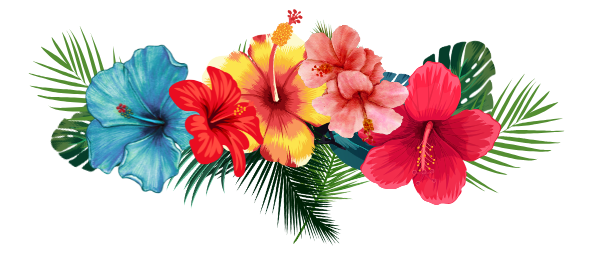 flores (6)
